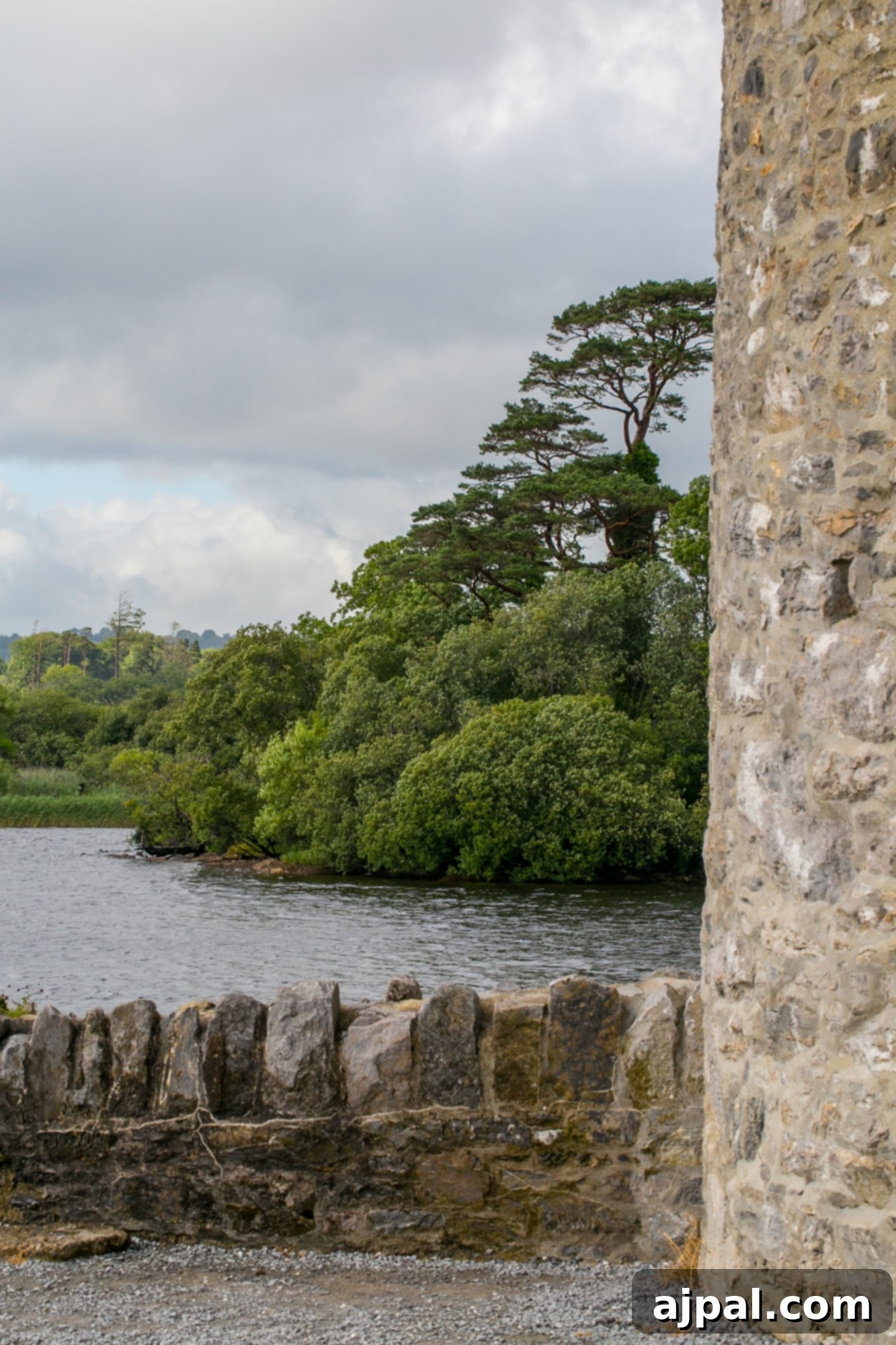 Killarney National Park 21 View from Ross Castle, Killarney