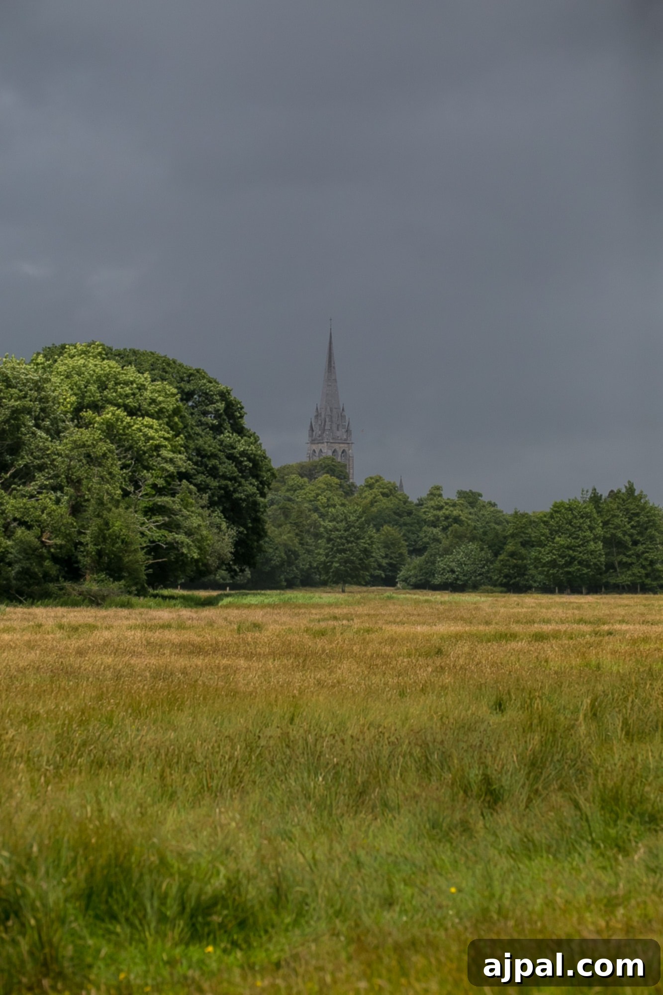 Killarney National Park 6 Killarney Cathedral, through the national park