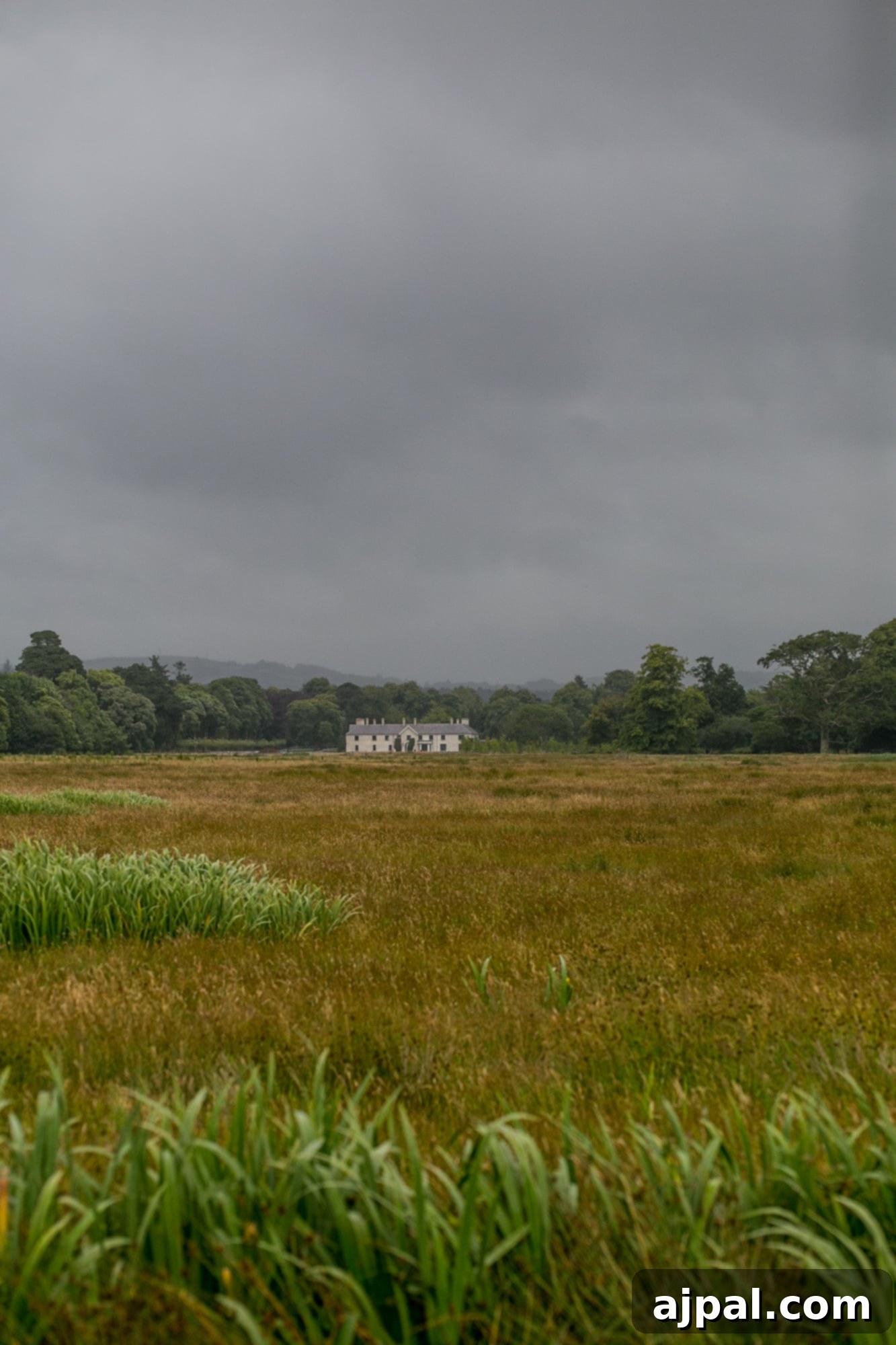 Killarney National Park 7 Killarney House, Ireland