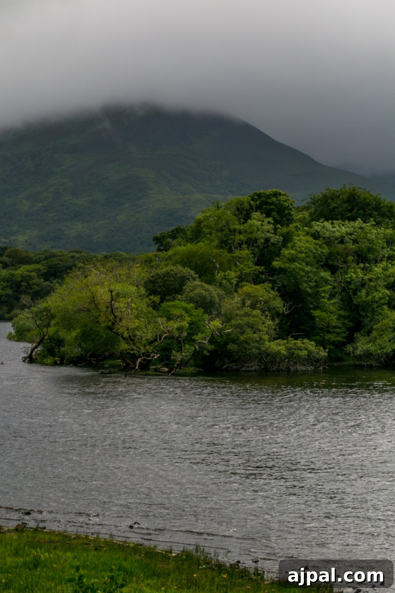 Killarney National Park 10 IMG_0426