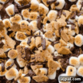 Close-up of s'mores ingredients: toasted marshmallows, graham cracker pieces, and chocolate chunks ready to blend into gooey Rice Krispie treats.