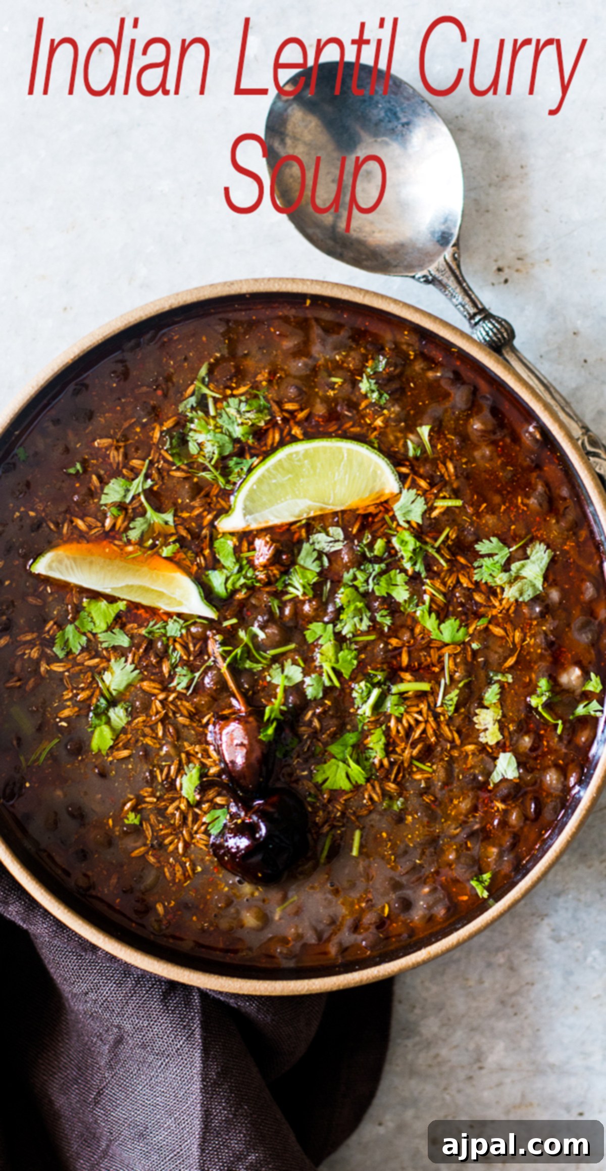 Indian Dal Soup 5 A vibrant bowl of black lentil soup, expertly garnished with fresh cilantro and a bright lime wedge.