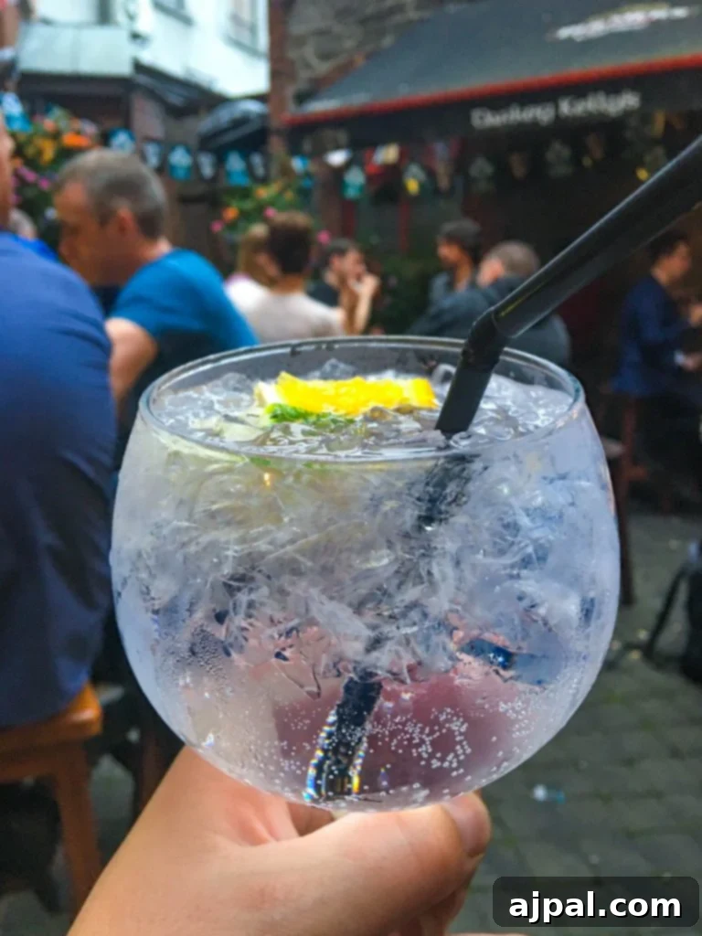 Gin and tonic, Darkey Kelley's, Dublin - Refreshing Cocktails