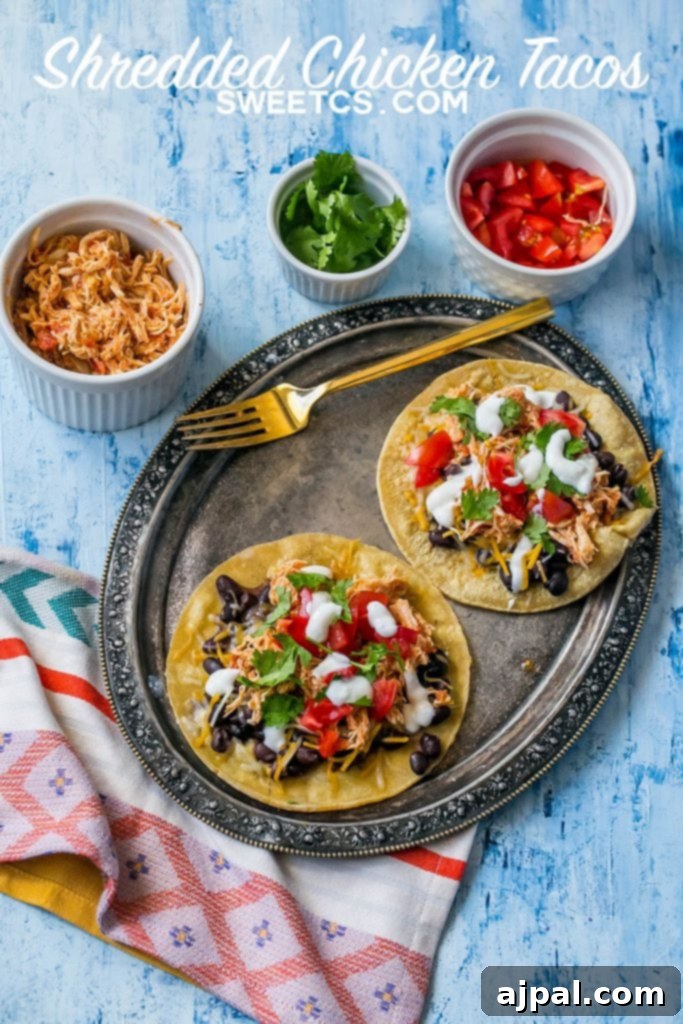 Shredded chicken tacos topped with sour cream, fresh cilantro, black beans, and vibrant salsa, served in a set of three
