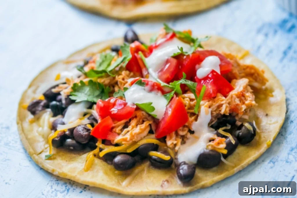A close-up of a single shredded chicken green chili taco, beautifully topped with sour cream, cilantro, black beans, and salsa, presented on a dark plate.