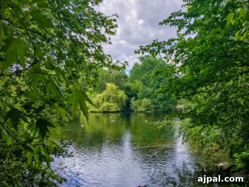 Dublin Awaits Top Reasons and Essential Experiences 11 A serene view of St. Stephen's Green in Dublin, featuring lush greenery, a tranquil pond, and colorful flowers.