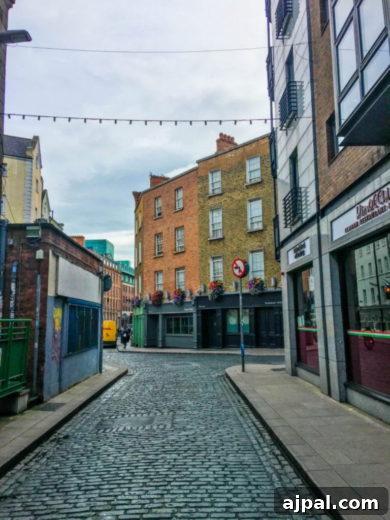 Dublin Awaits Top Reasons and Essential Experiences 3 A charming street scene in Dublin, with colorful buildings and a lively atmosphere, perfect for a family stroll.