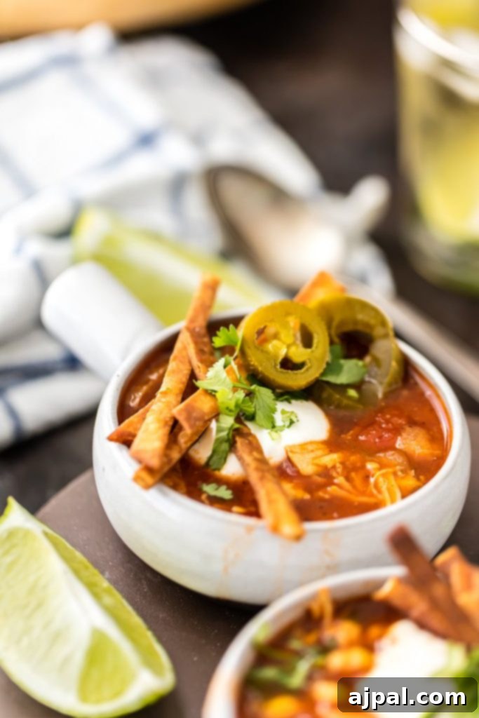 30 Cozy Slow Cooker Soups for Fall 8 Skinny Slow Cooker Chicken Tortilla Soup, a light yet satisfying version of the classic