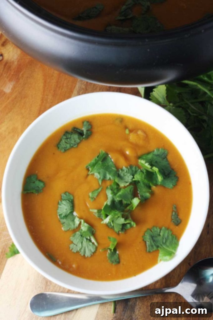 30 Cozy Slow Cooker Soups for Fall 19 Exotic Thai Pumpkin Lentil Soup, a flavorful and hearty vegan option