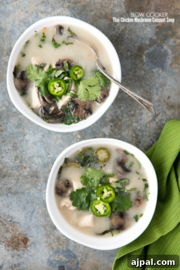 30 Cozy Slow Cooker Soups for Fall 10 Slow Cooker Thai Chicken Mushroom Coconut Soup, an exotic and aromatic Asian-inspired dish