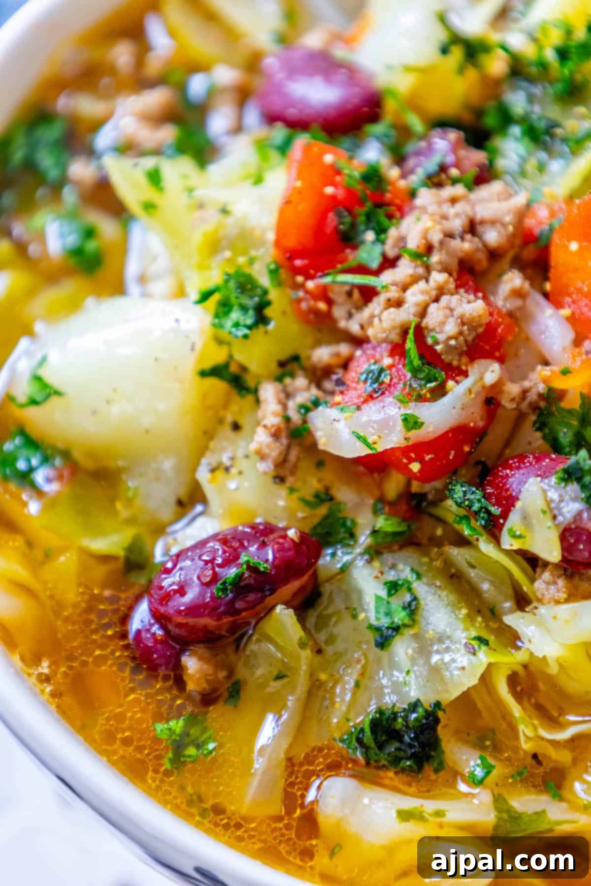 A hearty and colorful cabbage soup with hamburger meat and various vegetables, ready to be enjoyed.