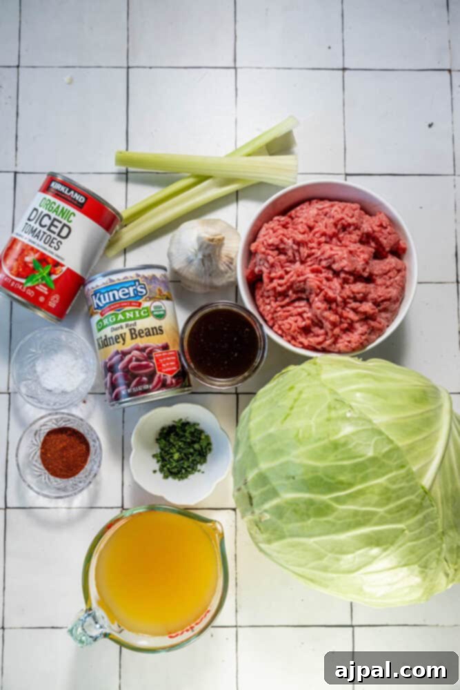 The ingredients for a cabbage soup are laid out on a tiled floor, showcasing fresh produce and pantry staples.