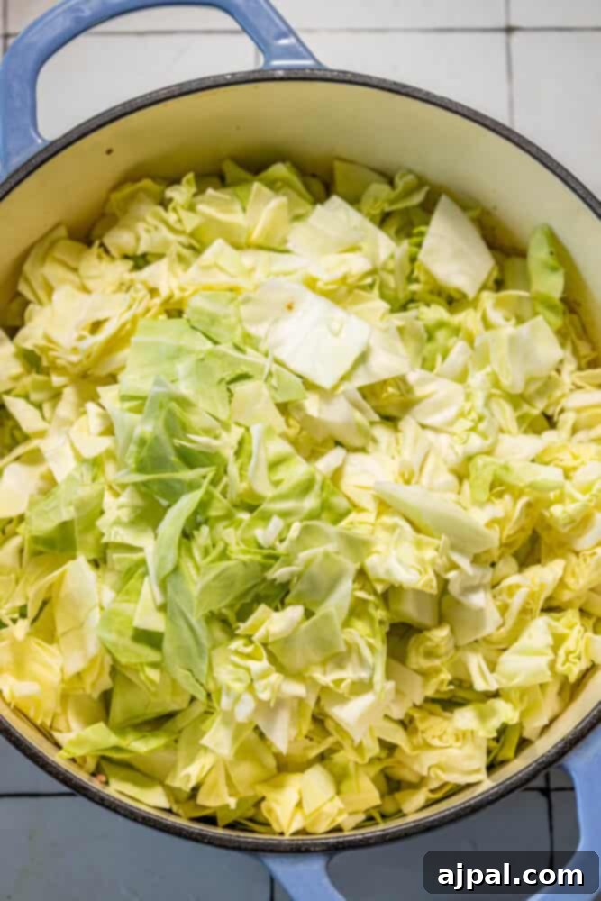 One Pot Hamburger Cabbage Soup recipe features fresh, vibrant cabbage in a blue pot, highlighting the main ingredient.