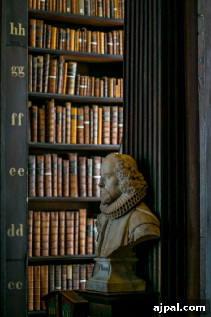 Trinity College Dublin 11 Row of historic marble busts in the Long Room Library