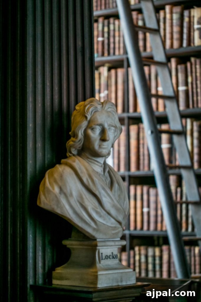 Trinity College Dublin 6 Statue of John Locke in Trinity College Long Room Library