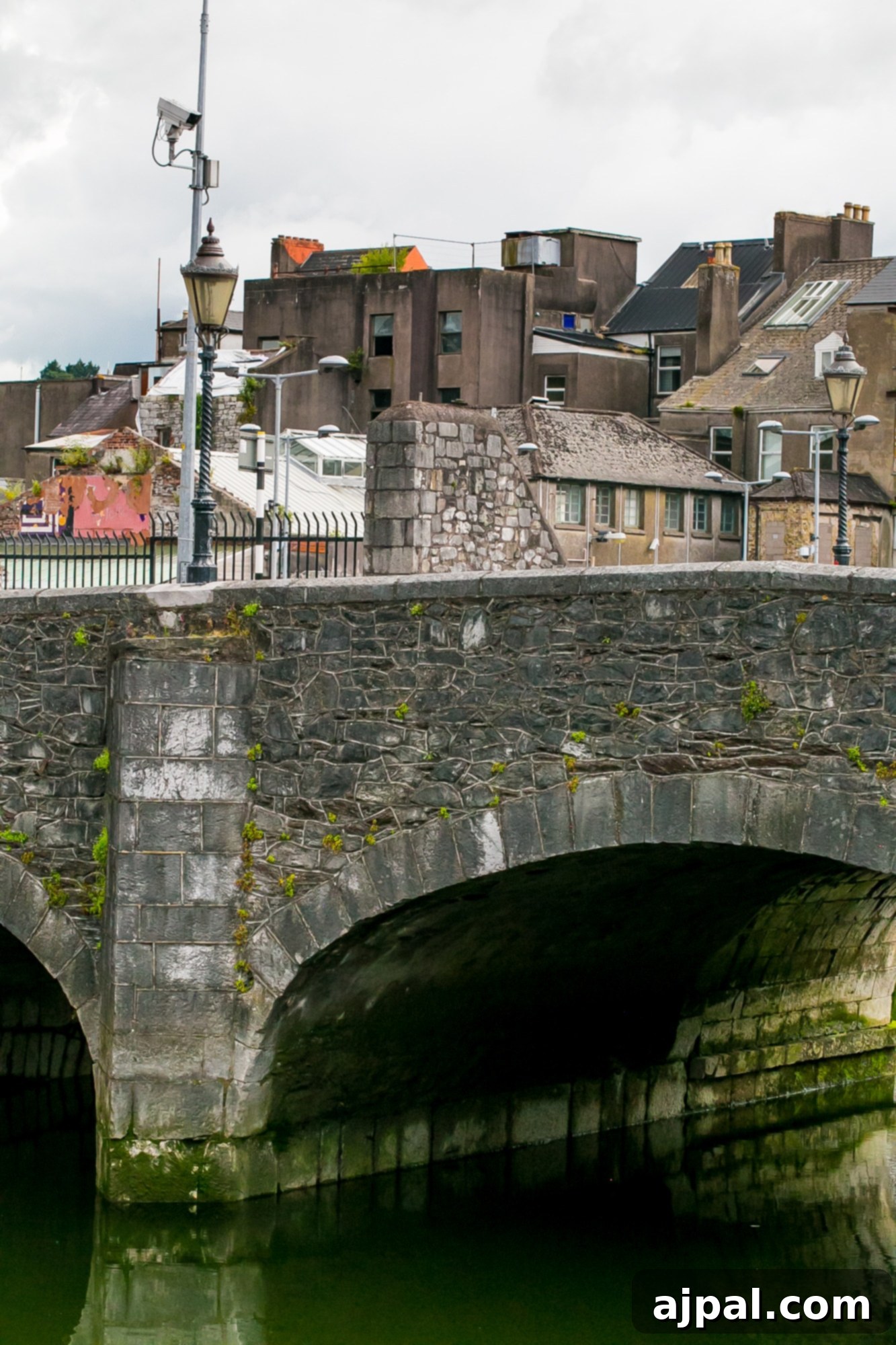 A scenic view of a bridge crossing the River Lee in Cork, Ireland.