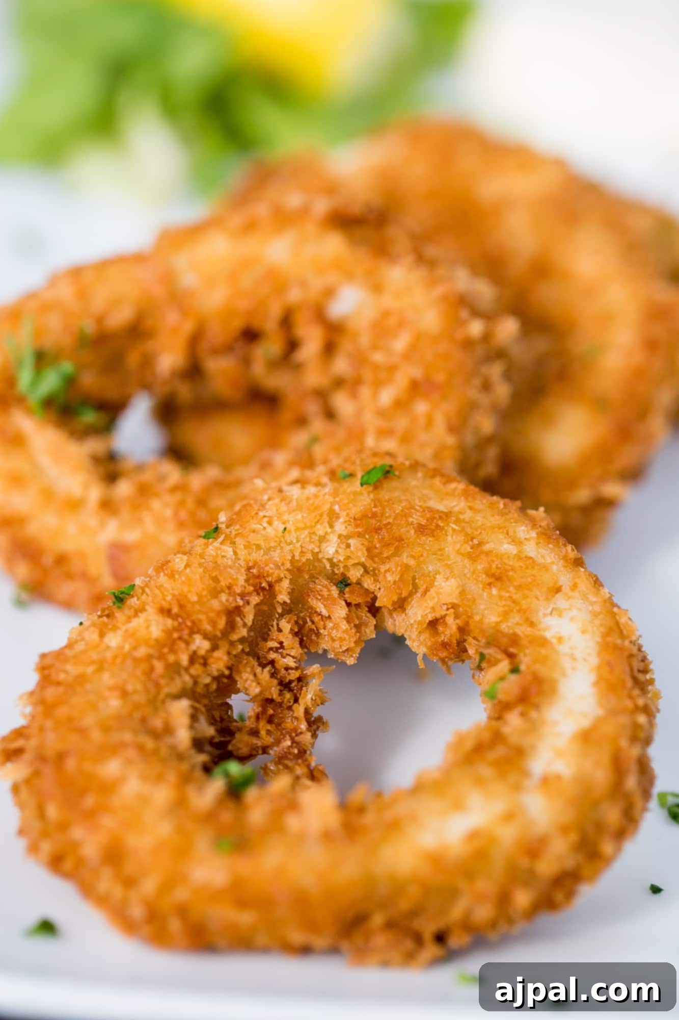 Cobh Ireland Historic Port 14 Delicious calamari served at a restaurant in Cobh, Ireland