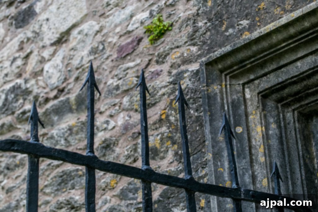 Gate at Blarney Castle, Ireland