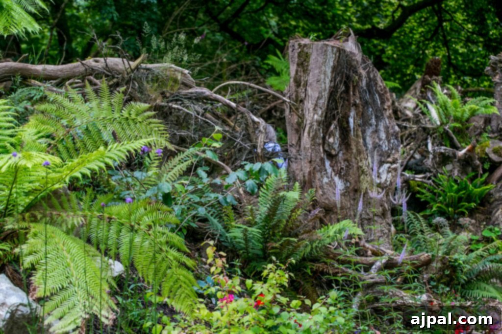 Fairy Garden, Blarney Castle grounds, Ireland