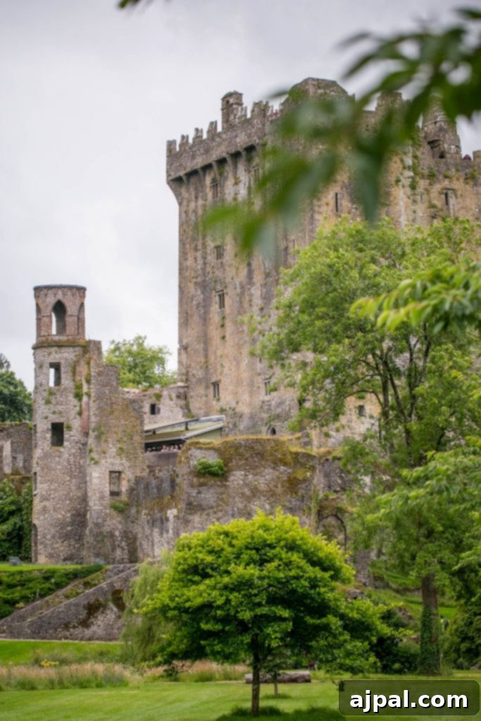 Tour the Blarney Castle in County Cork, Ireland - home of the Blarney Stone, Poison Gardens, rivers, and a ton of family fun! 