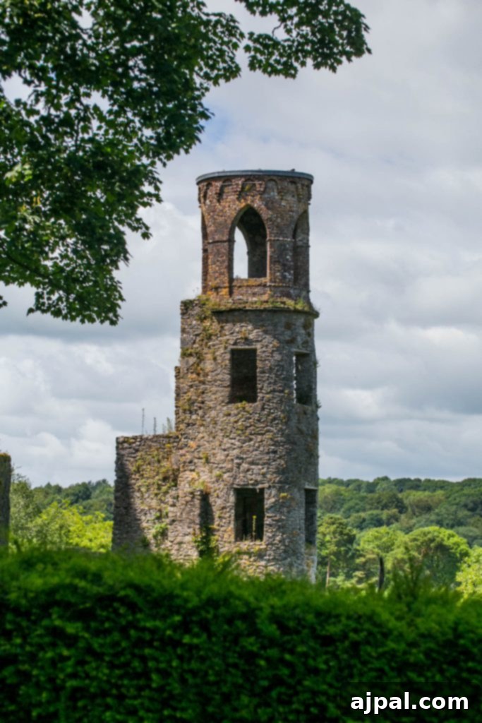 Tower, Blarney Castle, Ireland