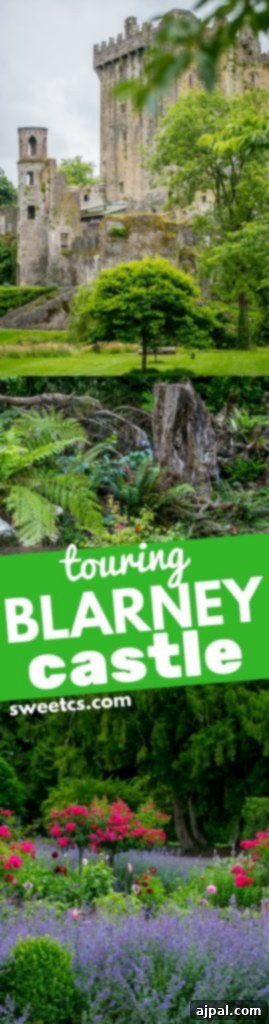 Touring Blarney Castle - such a perfect vacation idea with kids! 