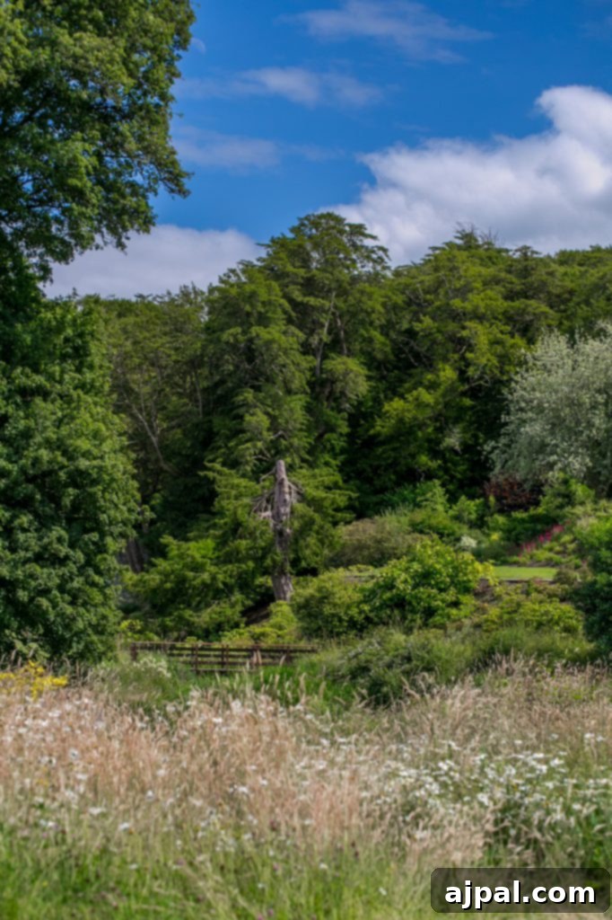 Gorgeous Blarney Castle Grounds