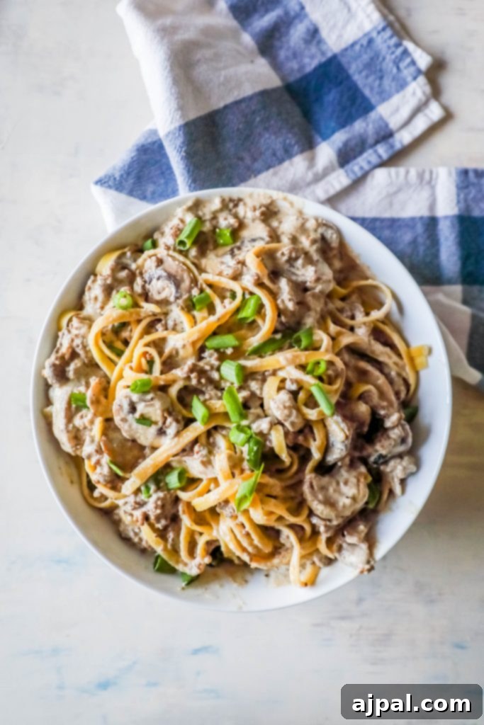 Noodles with creamy stroganoff with mushrooms and chives on top sitting on a white plate blue plaid towel in background