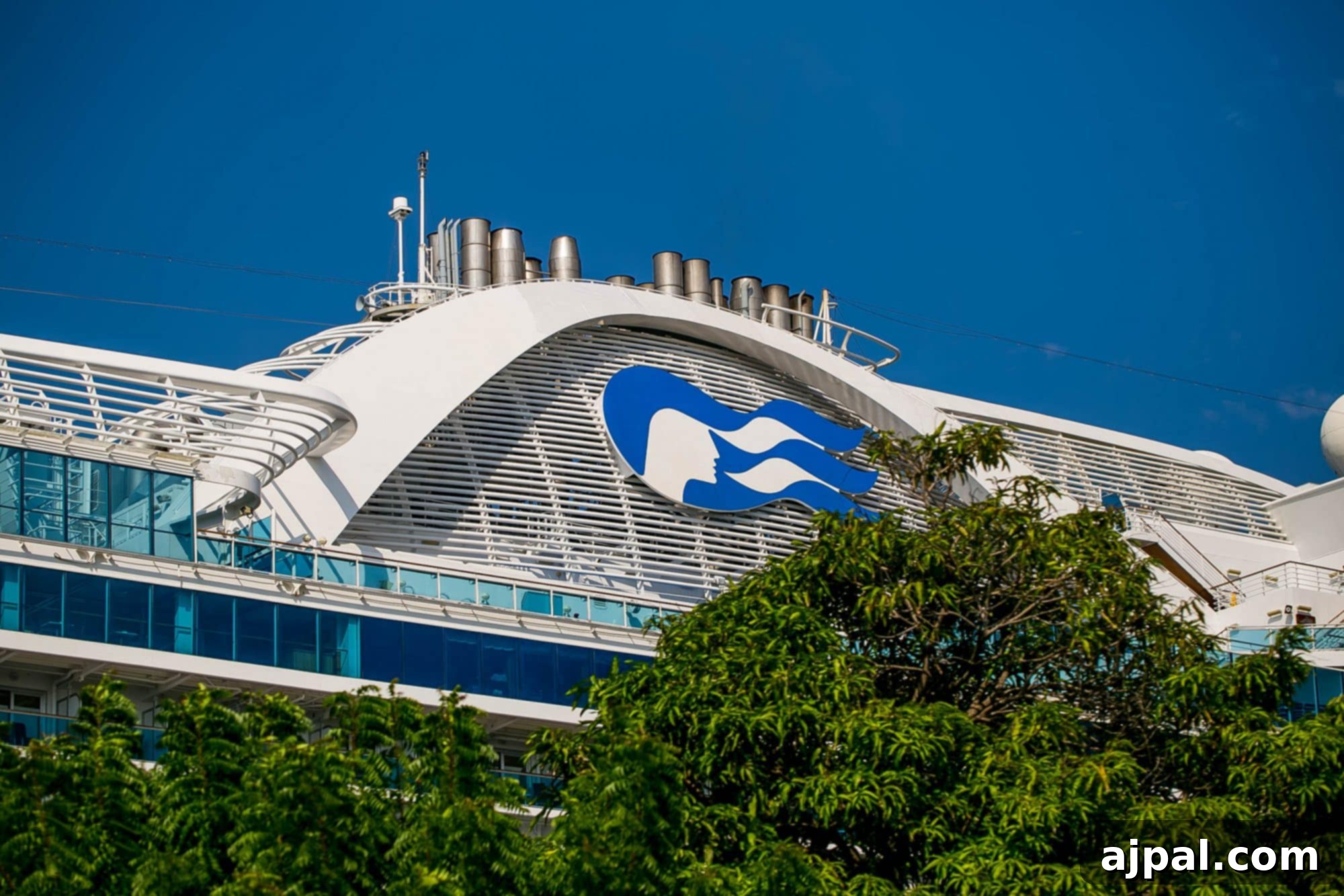 Ruby Princess Unveils Puerto Vallarta 3 large princess cruise ships