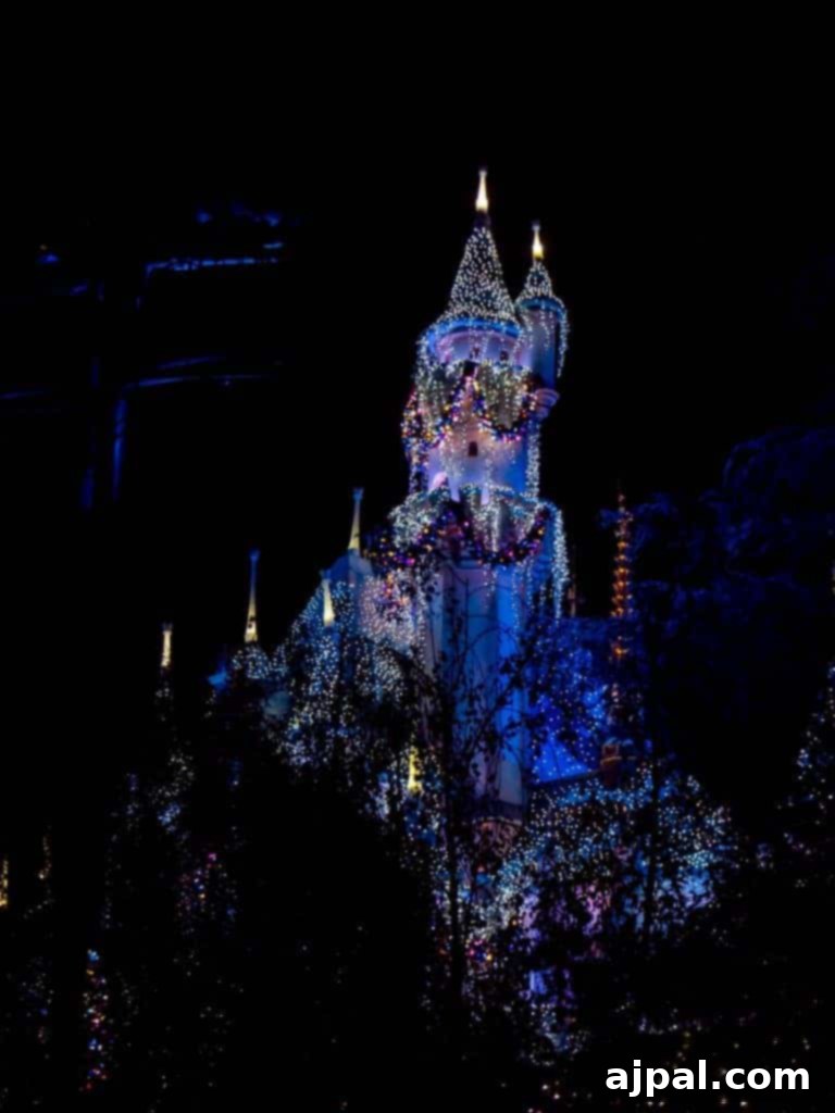 Disneyland Castle at Christmas with festive lights