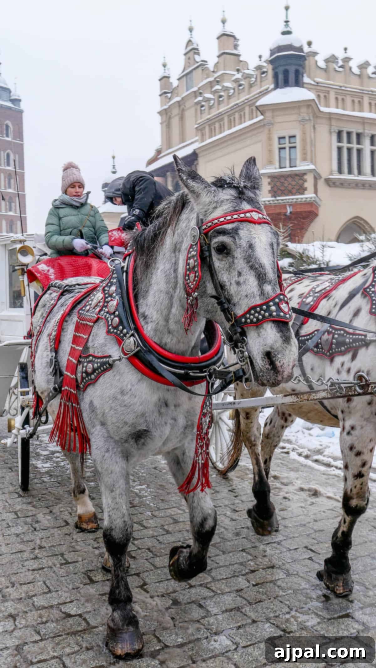 A horse-drawn carriage with ornate harnesses glides over the snow-covered cobblestone street in a historic city. Wrapped in winter clothing, passengers enjoy the charm of Krakow Christmas Market nearby.
