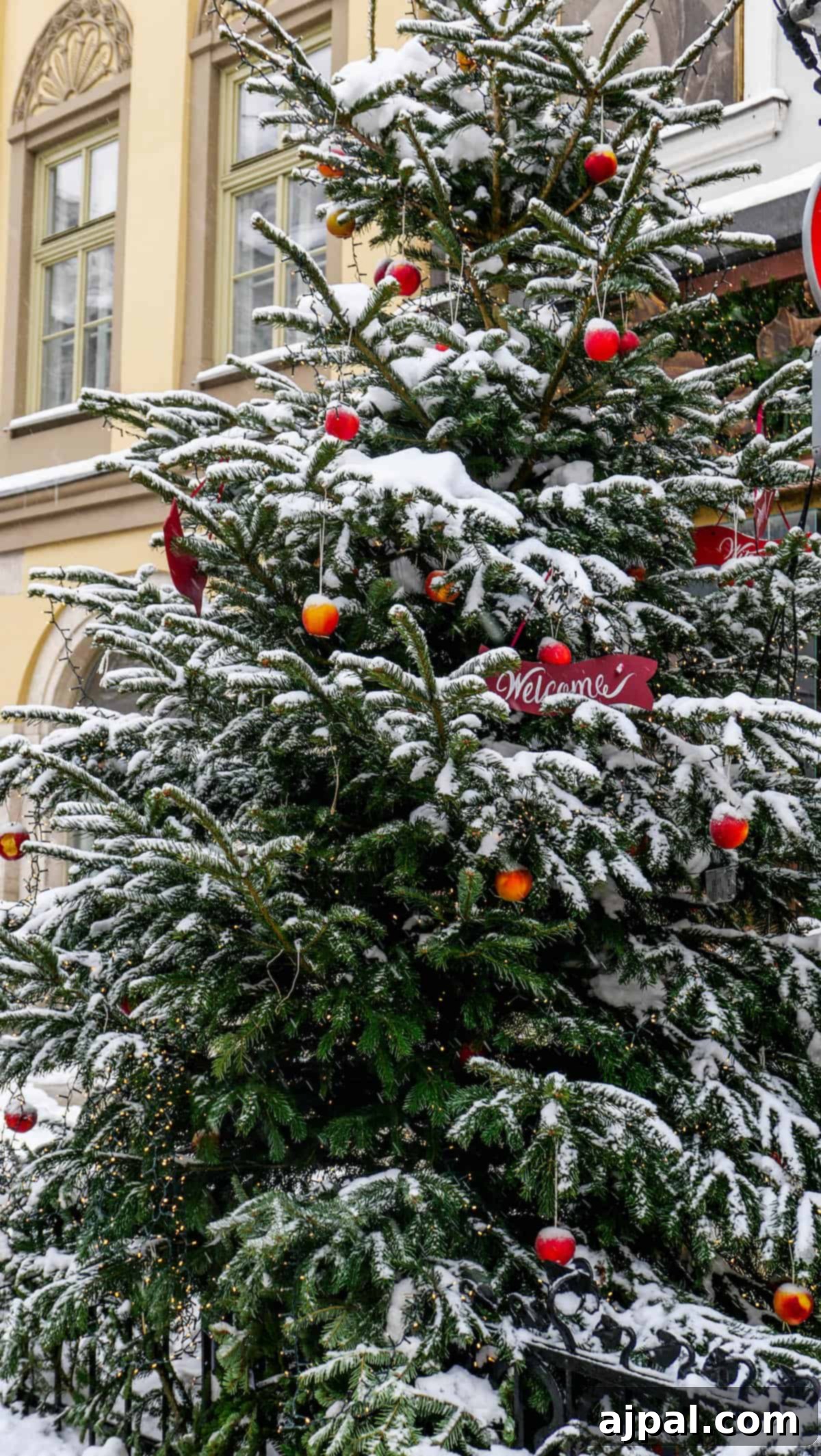 A snow-covered Christmas tree adorned with red and orange ornaments and a "Welcome" sign stands charmingly at the entrance, reminiscent of the festive spirit found at the Krakow Christmas Market.