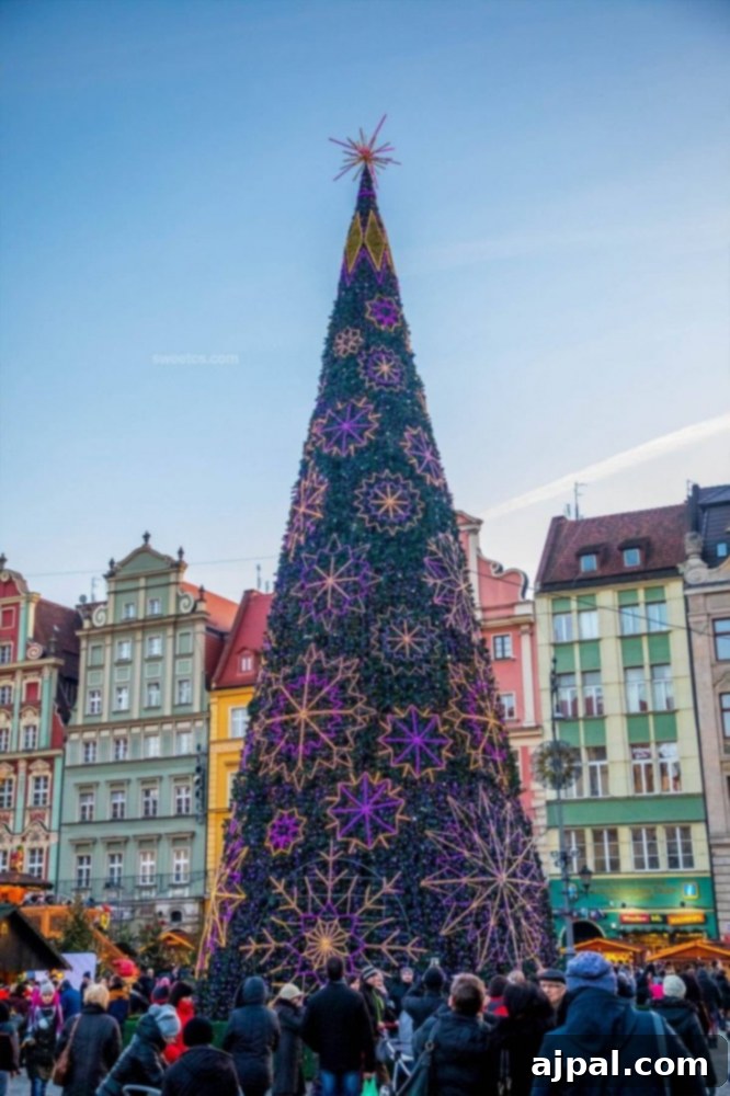 A beautifully adorned Christmas tree, sparkling with lights, stands majestically in the heart of the Wroclaw Christmas Market.