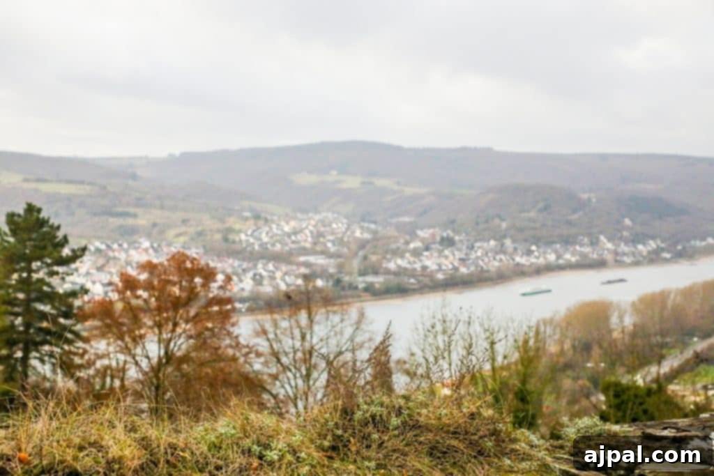 Marksburg Castle: Germany's Best-Preserved Medieval Gem 11 The breathtaking view of the Rhine River from the elevated vantage point of Marksburg Castle in Germany, stretching into the horizon.
