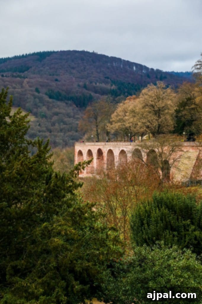 Heidelberg: Germany's Grand Ruined Palace 3 An old stone bridge near Heidelberg Castle in the middle of a forest, showcasing the castle's grounds.
