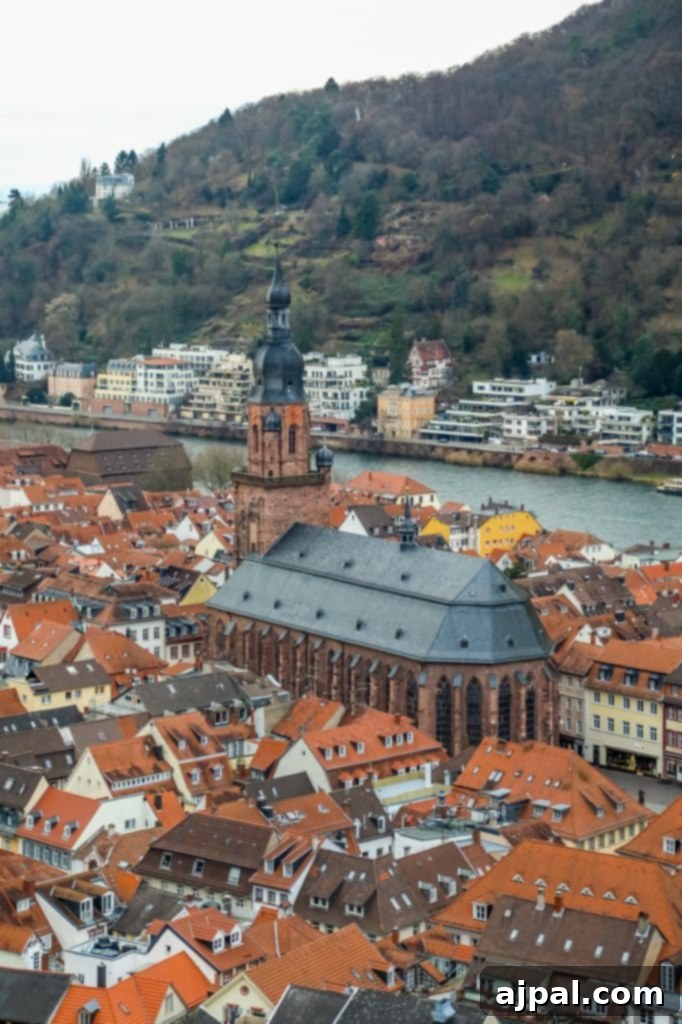 Heidelberg: Germany's Grand Ruined Palace 5 A panoramic view of Heidelberg city with red roofs and a river in the background, as seen from Heidelberg Castle.
