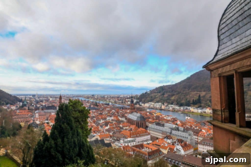 Heidelberg: Germany's Grand Ruined Palace 8 A view of Heidelberg city from the top of Heidelberg Castle, showing the red roofs and river.