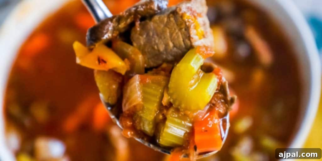 A vibrant bowl of Instant Pot Steak Soup, richly packed with tender meat and wholesome vegetables.