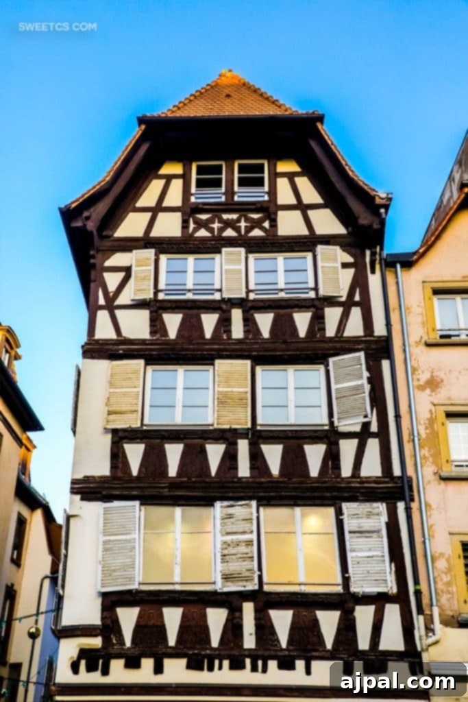 Alsace Choucroute Garnie Braised Pork and Sauerkraut 6 house in strasbourg france