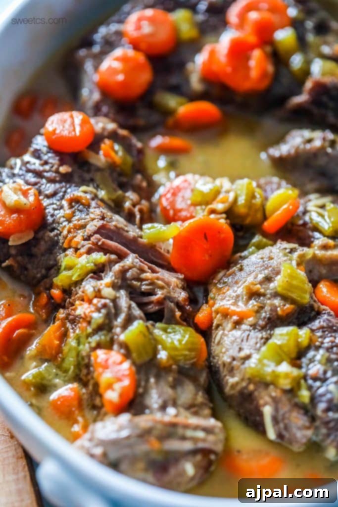 Hearty bowl of Instant Pot Ranch Pot Roast with tender beef, carrots, and a rich gravy.