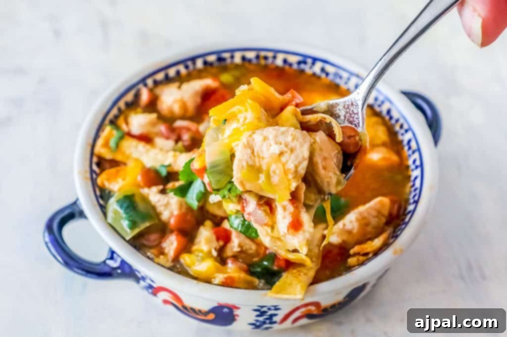 A spoonful of rich, flavorful Tortilla Soup, ready to be savored, presented in a rustic blue and white bowl.