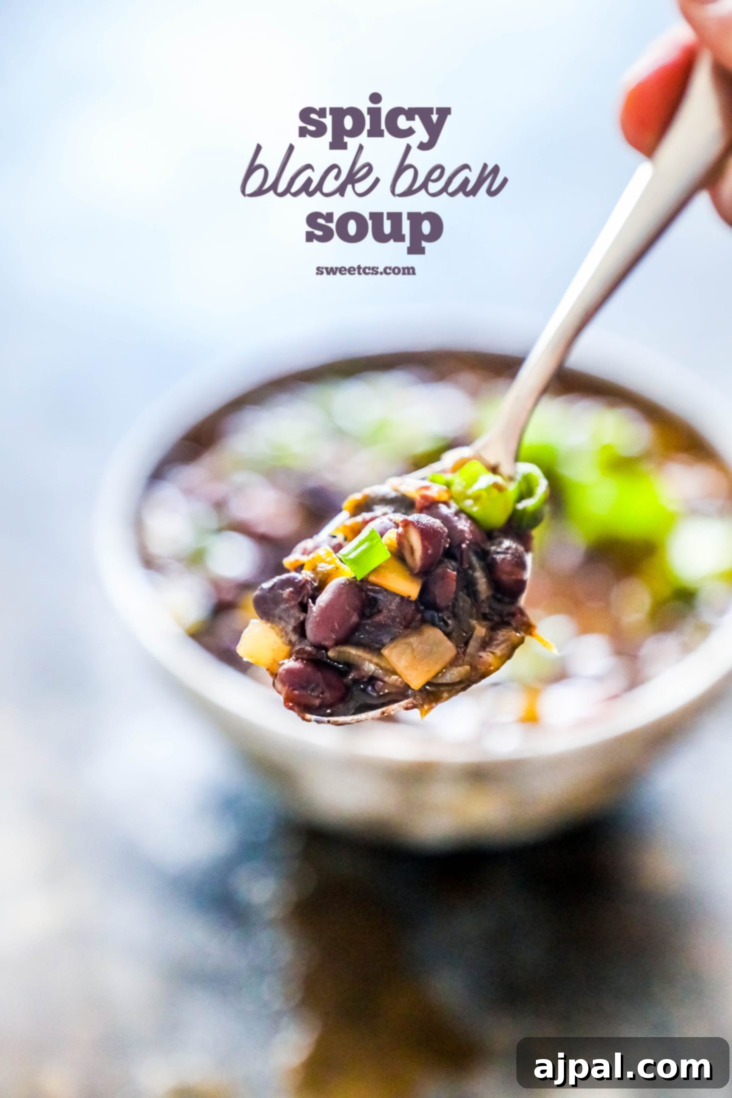 A beautifully presented bowl of spicy black bean soup, garnished and ready to be enjoyed.