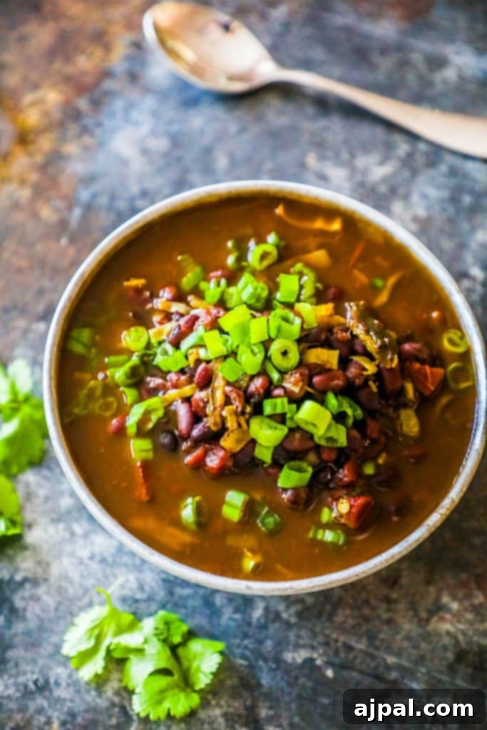 A close-up of spicy black bean soup in a bowl, garnished with freshly chopped green onions, showcasing its rich texture.
