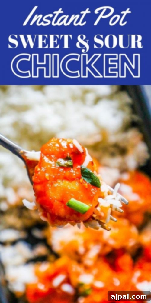 A vibrant close-up of Instant Pot Sweet and Sour Chicken and Rice in a bowl.