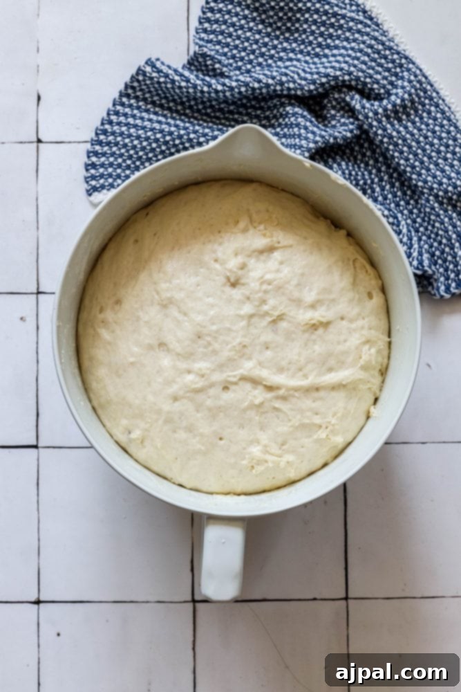 Effortless No-Knead Bread 12 Fully risen bread dough in a bowl, showing its increased volume and airy texture.