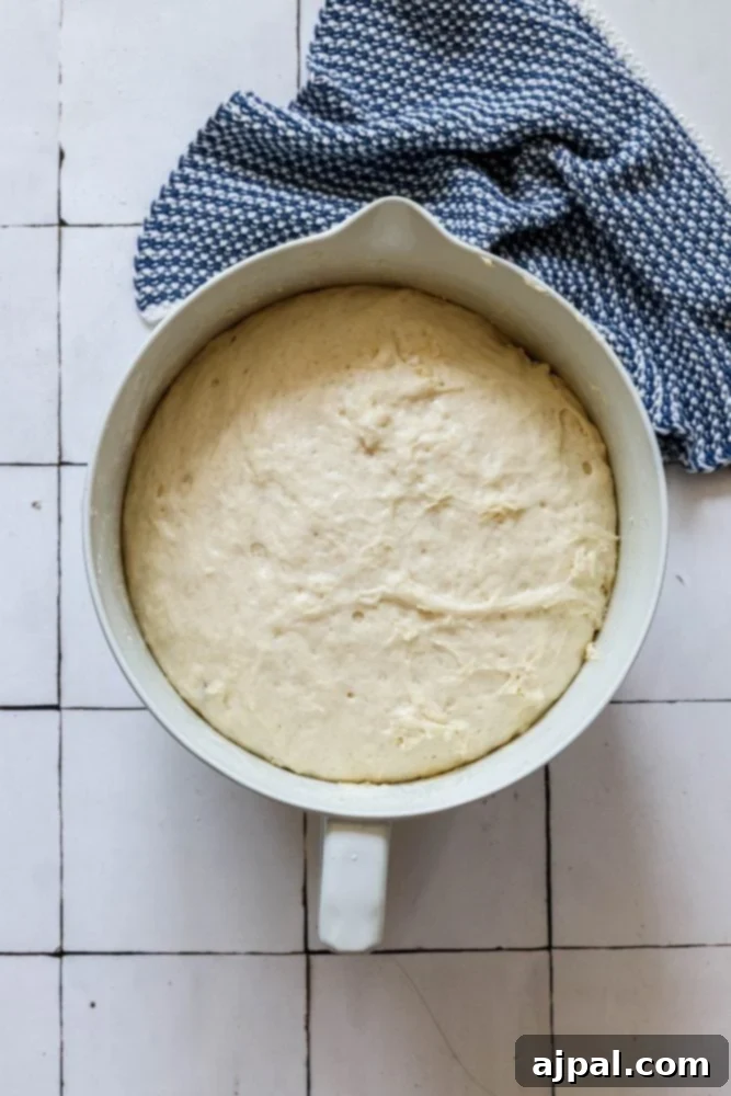 picture of risen bread dough in a bowl