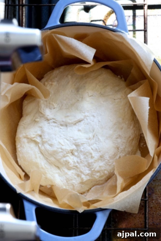 Effortless No-Knead Bread 16 Shaped no-knead bread dough gently placed inside a parchment paper-lined Dutch oven, ready for baking.