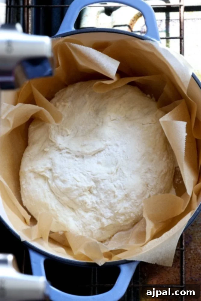 picture of bread dough in dutch oven lined with parchment paper
