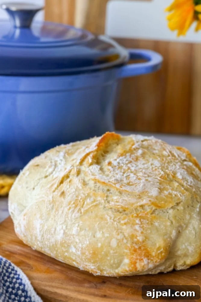 Effortless No-Knead Bread 4 A freshly baked no-knead bread loaf emerging from a blue Dutch oven, highlighting its perfectly rounded shape and golden crust.
