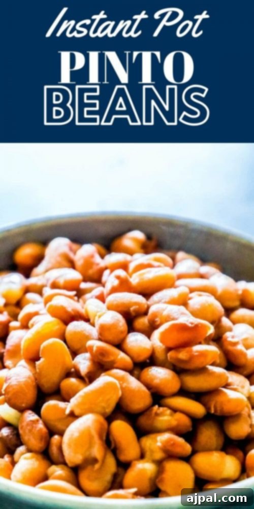 Instant Pot Pinto Beans prepared in restaurant style.